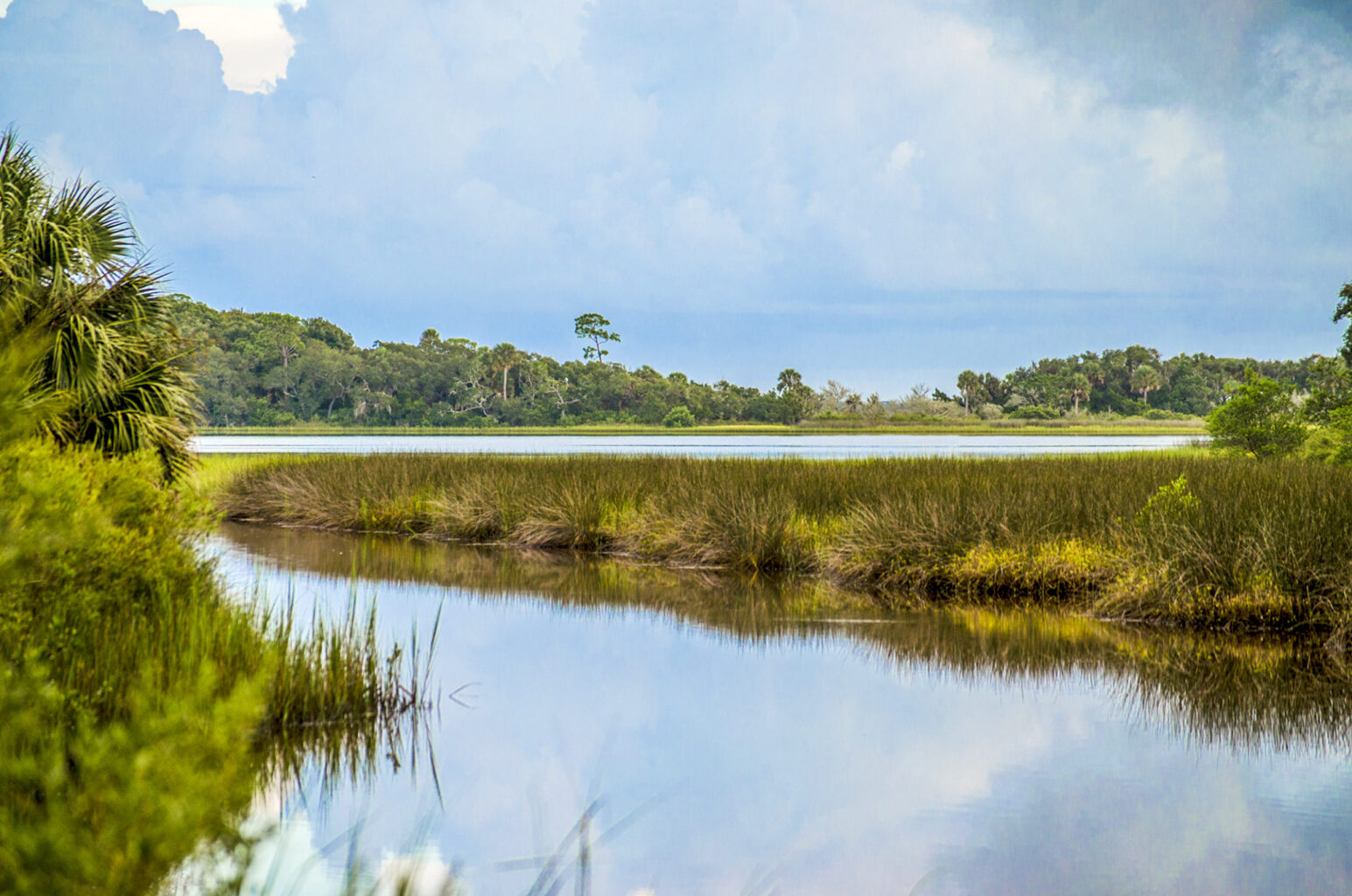 Pellicer Creek, a tidal marsh landscape in Florida